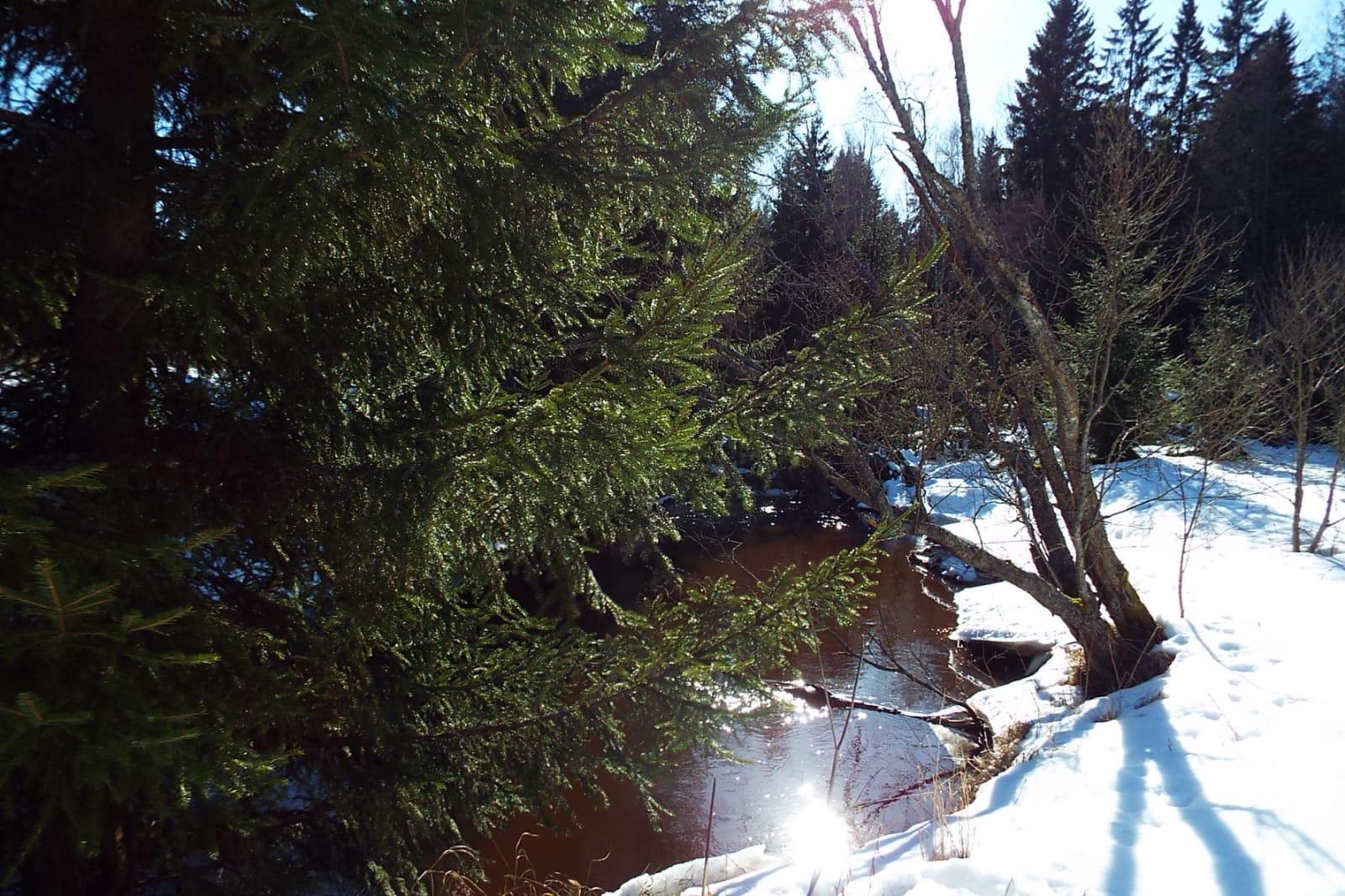 img-20250311-wa0013