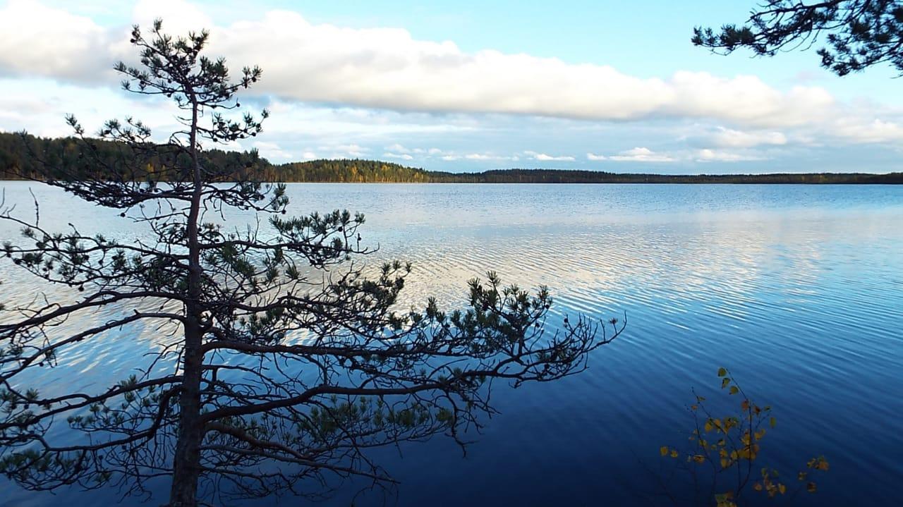 img-20250314-wa0002
