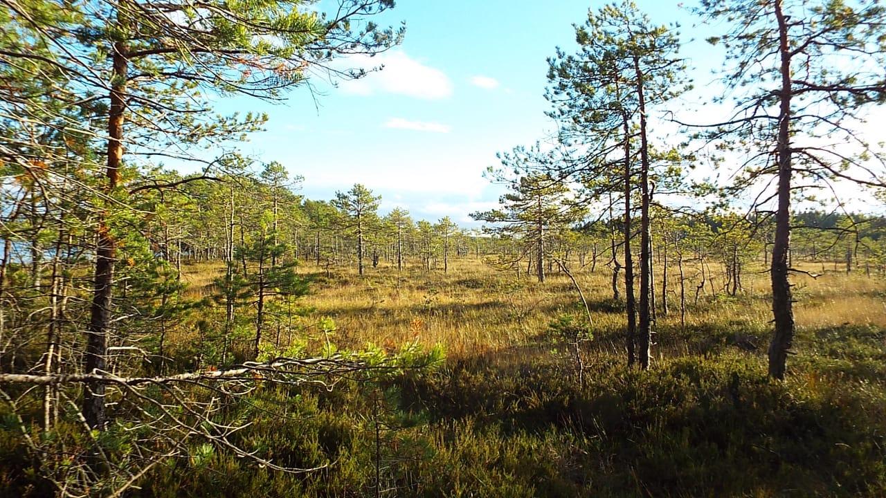 img-20250314-wa0003