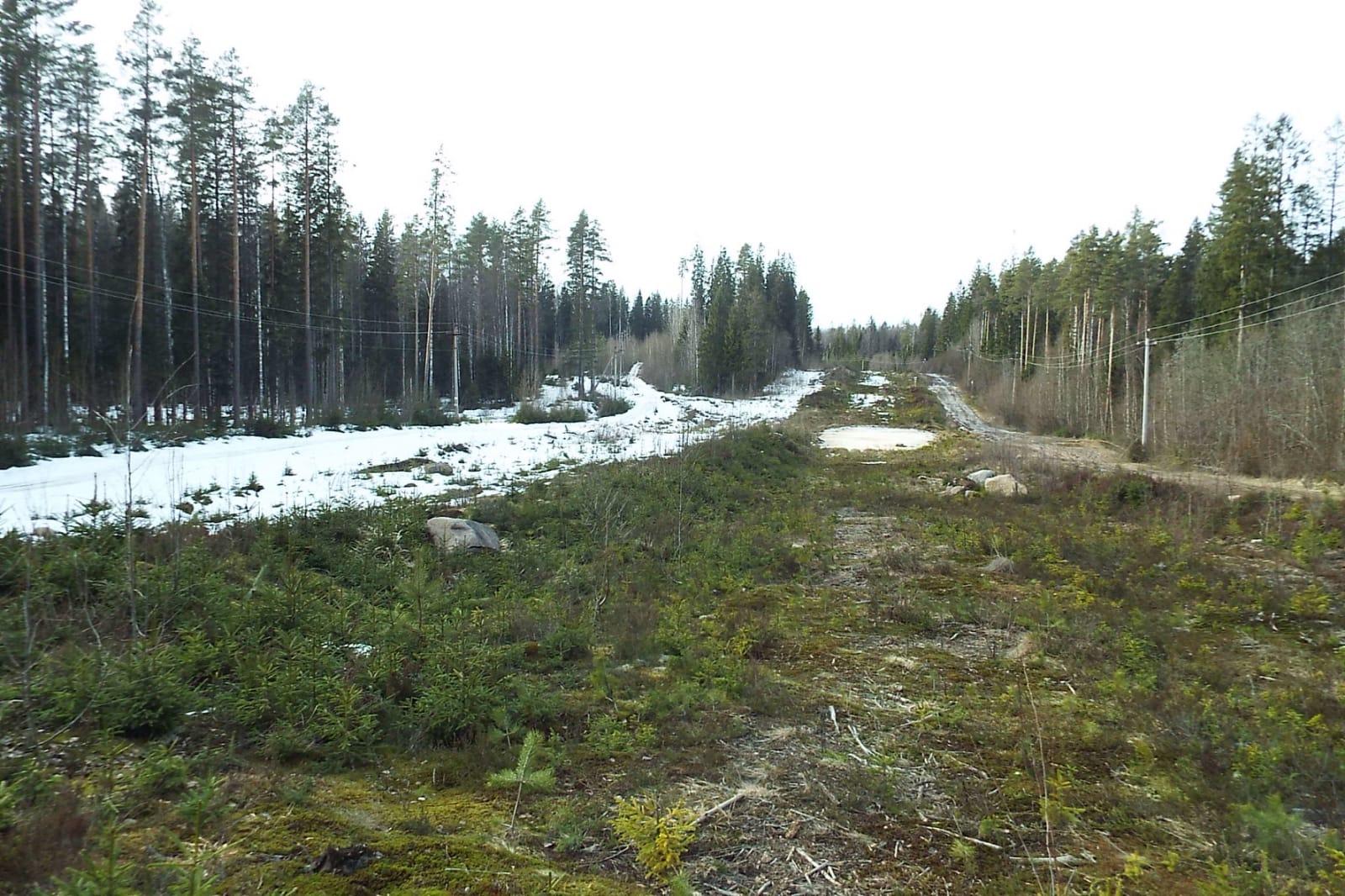 img-20250331-wa0000