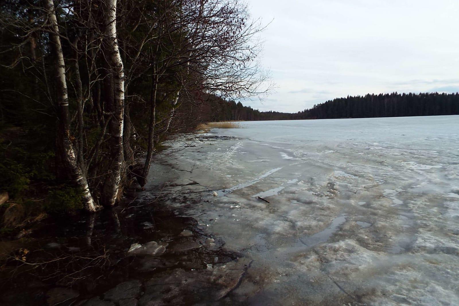 img-20250331-wa0001