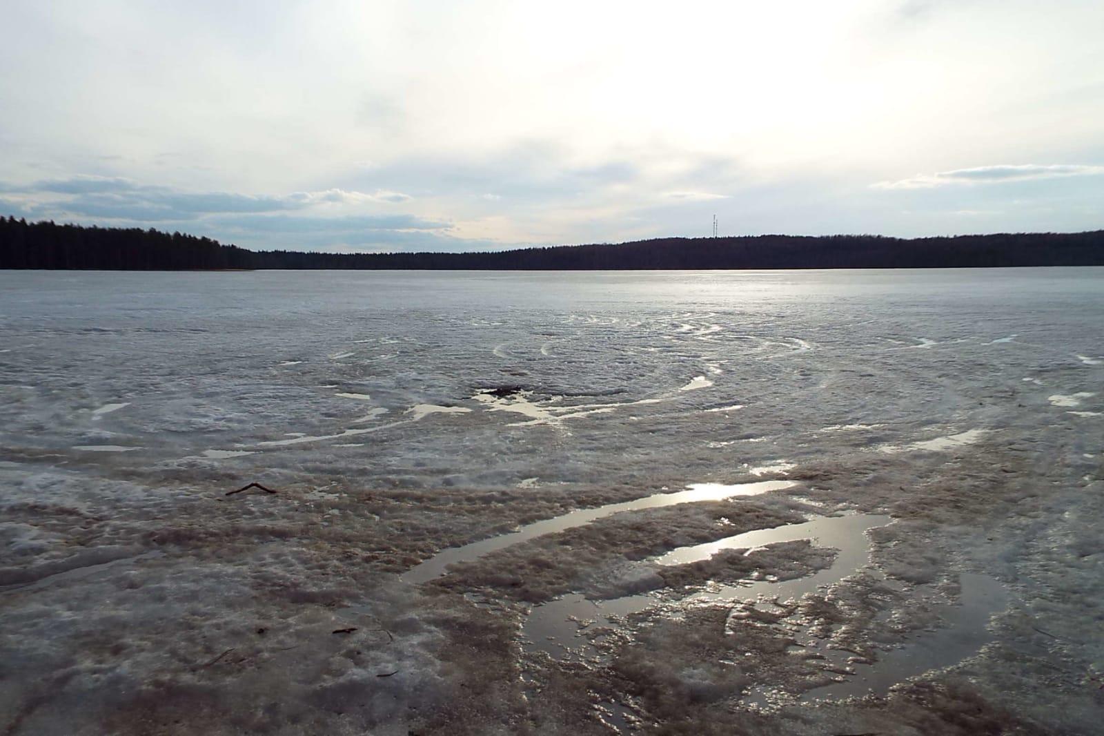 img-20250331-wa0002