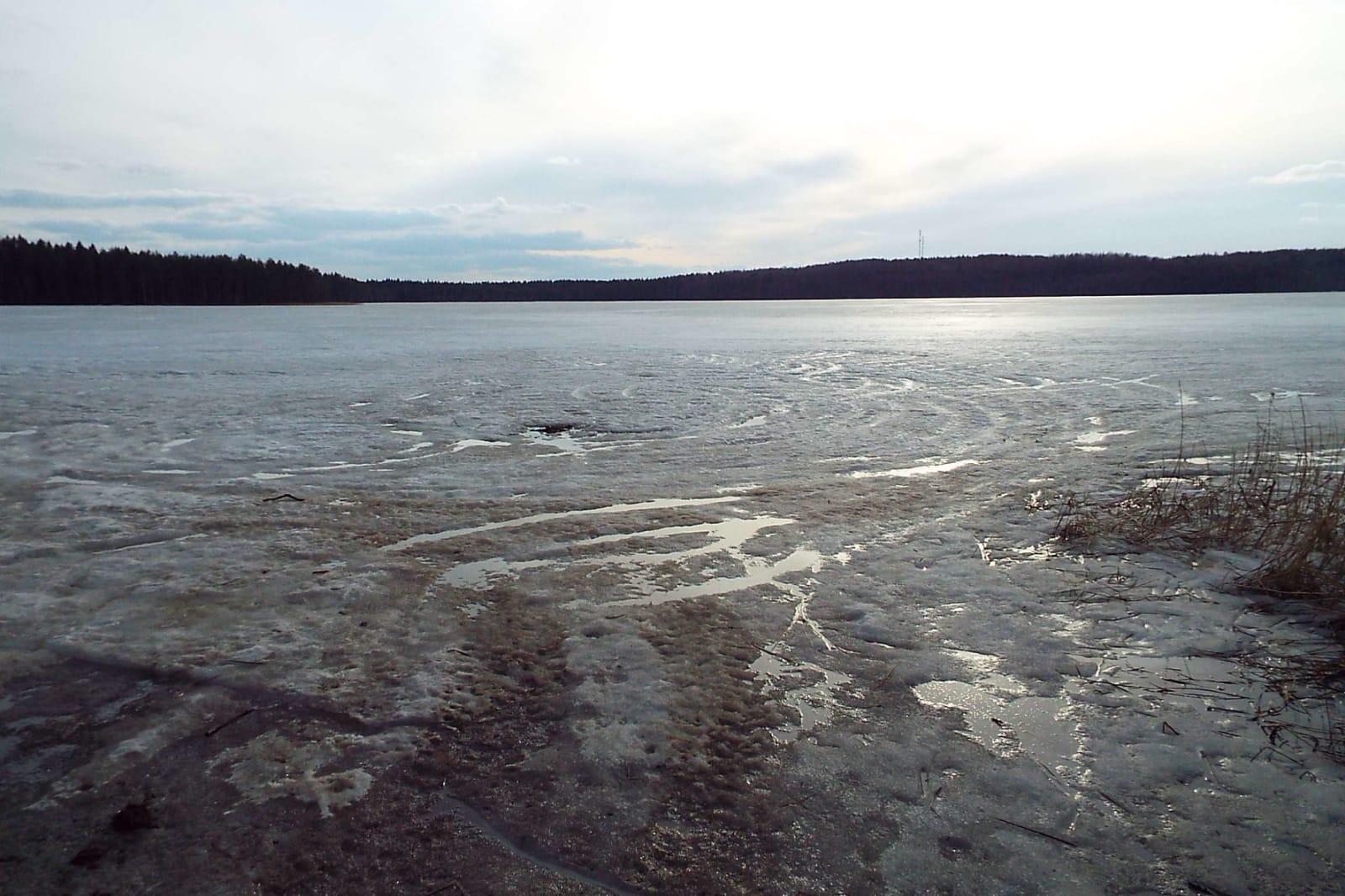 img-20250331-wa0003