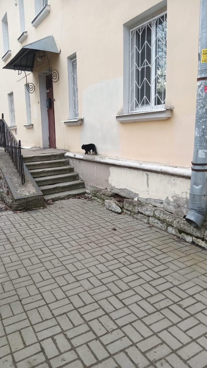 img-20250331-wa0013