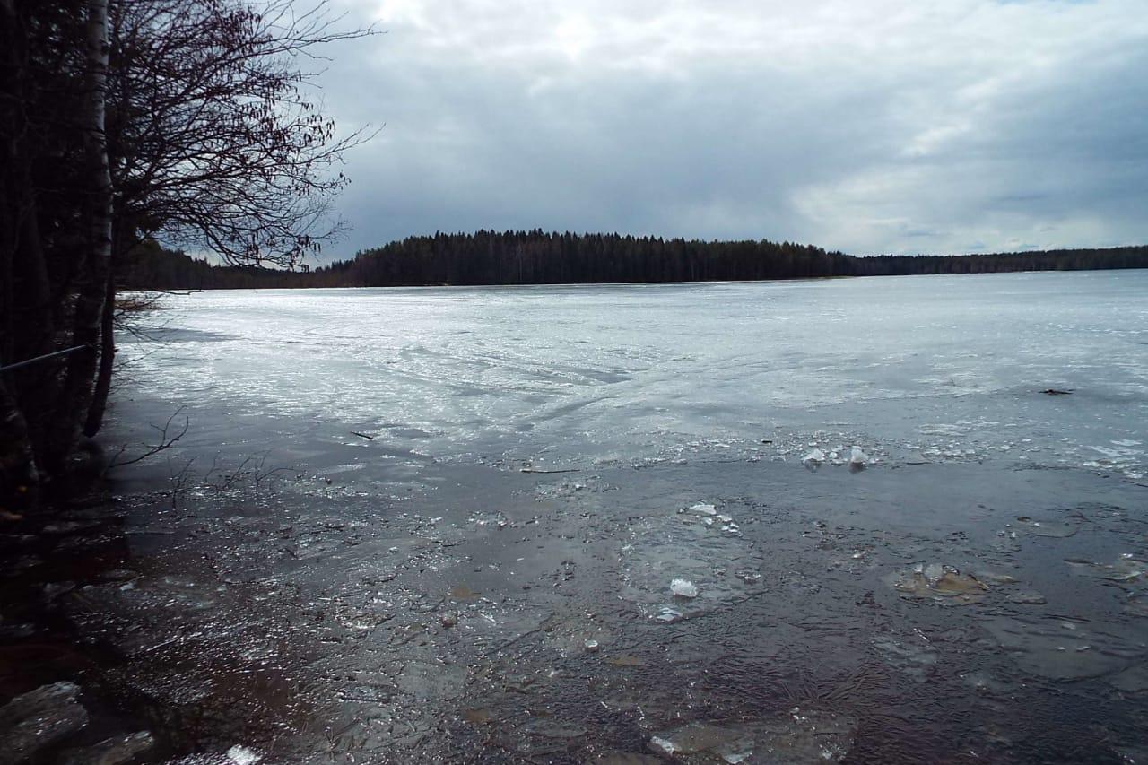 img-20250406-wa0011