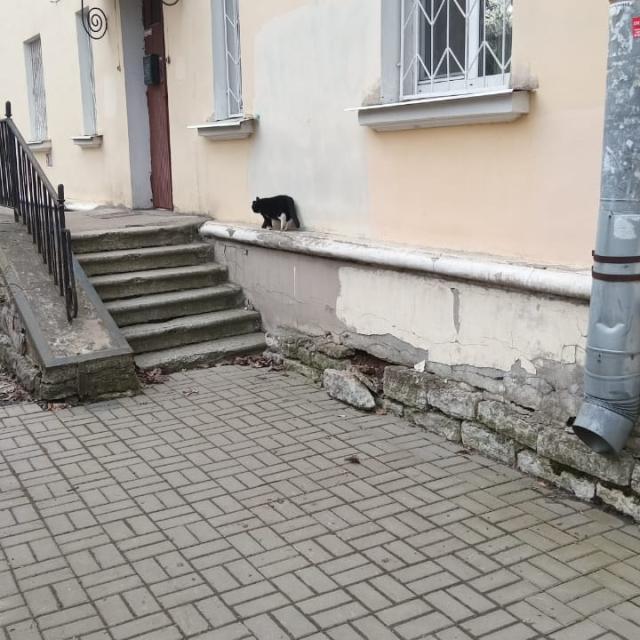 img-20250331-wa0013