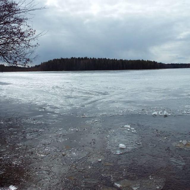 img-20250406-wa0011