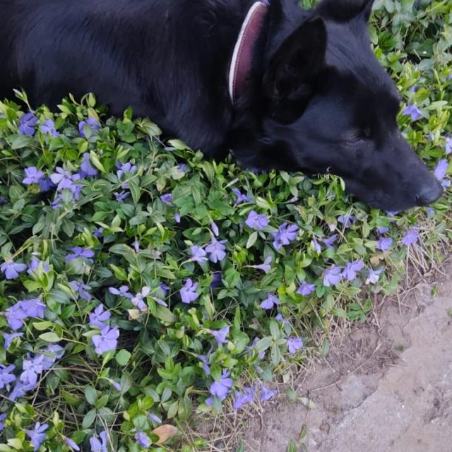 img-20250515-wa0003